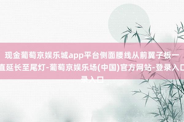 现金葡萄京娱乐城app平台侧面腰线从前翼子板一直延长至尾灯-葡萄京娱乐场(中国)官方网站-登录入口
