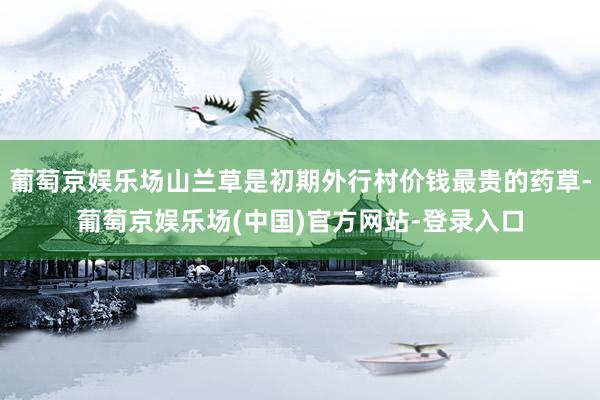 葡萄京娱乐场山兰草是初期外行村价钱最贵的药草-葡萄京娱乐场(中国)官方网站-登录入口
