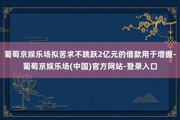 葡萄京娱乐场拟苦求不跳跃2亿元的借款用于增握-葡萄京娱乐场(中国)官方网站-登录入口