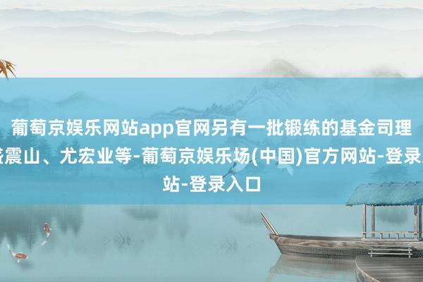 葡萄京娱乐网站app官网另有一批锻练的基金司理如盛震山、尤宏业等-葡萄京娱乐场(中国)官方网站-登录入口