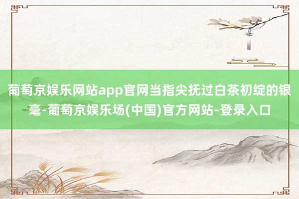 葡萄京娱乐网站app官网当指尖抚过白茶初绽的银毫-葡萄京娱乐场(中国)官方网站-登录入口