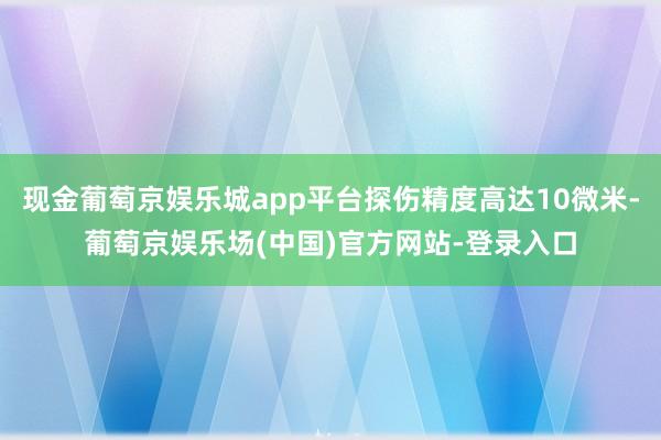 现金葡萄京娱乐城app平台探伤精度高达10微米-葡萄京娱乐场(中国)官方网站-登录入口